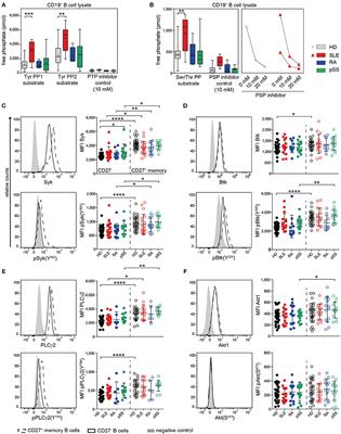 Identification and Characterization of Post-activated B Cells in Systemic Autoimmune Diseases